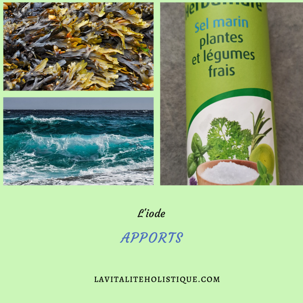 l'apport d'iode 