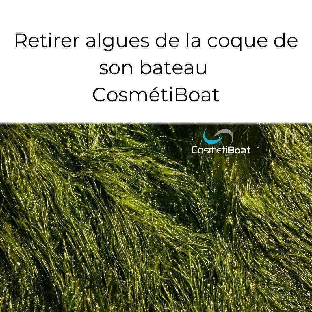 Retirer les algues de la coque des bateaux avec CosmétiBoat