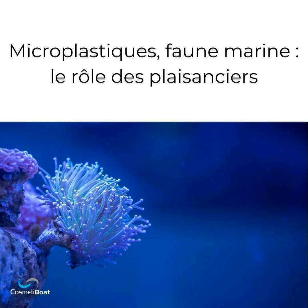 microplastiques faune marine le role des plaisanciers