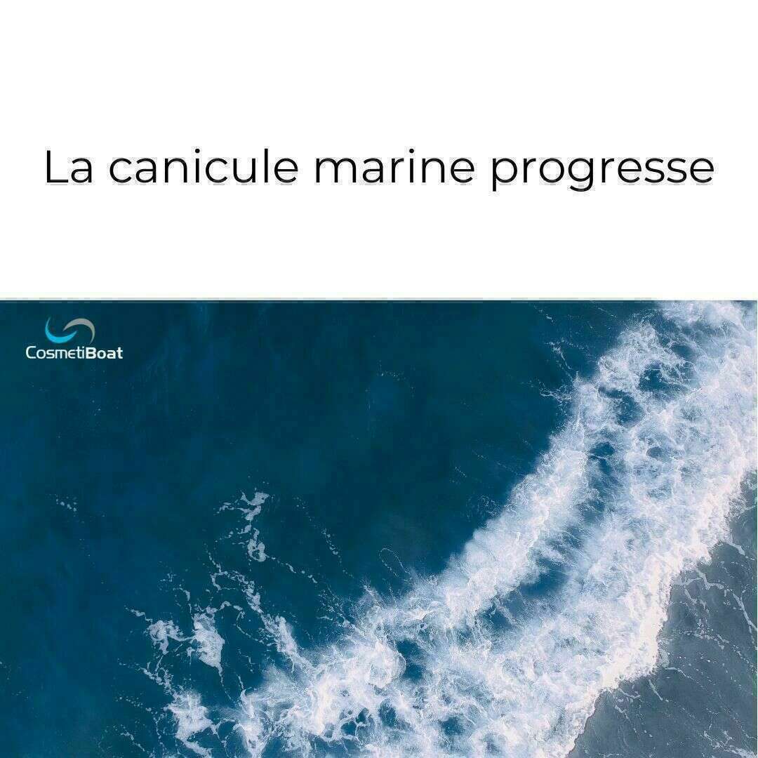 canicule marine