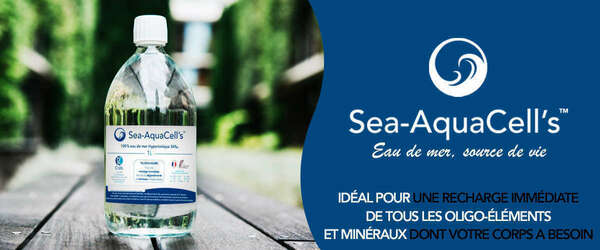 Le plasma marin, pourquoi c'est bon pour nous ? - 1ère partie