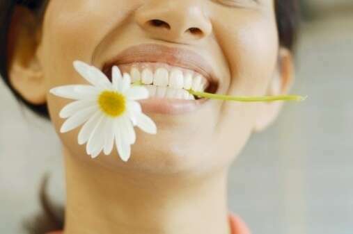 ORTHODONTIE ET ORTHODONTISTES