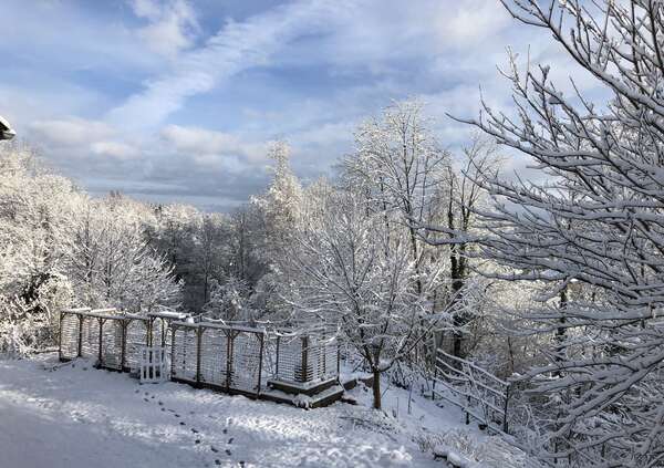 Collapsologie et shiatsu: des mains pour soigner