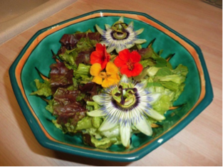 Salade composée aux fleurs du jardin
