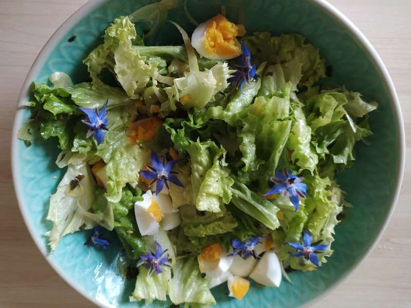 Salade  printanière fleurie