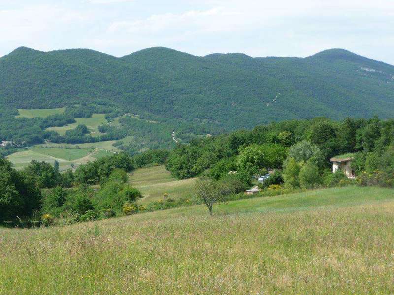 ... niché dans la verdure !