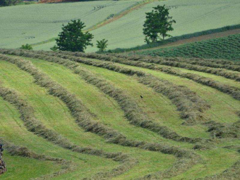 preparation_du_foin_a_tersanne