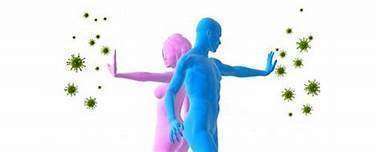 Stimuler son immunité