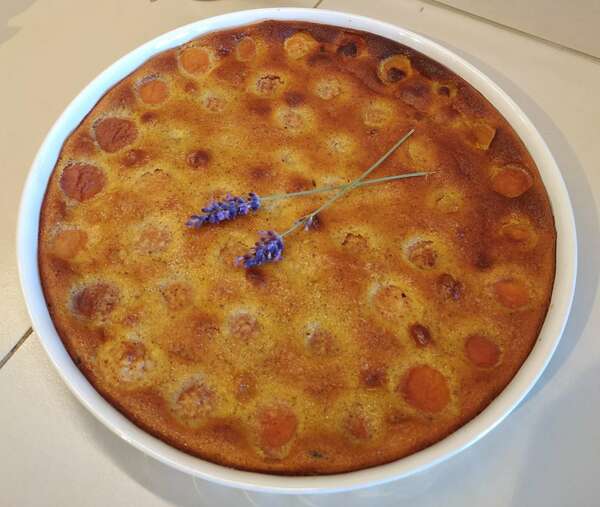 Clafoutis d'abricots à la lavande