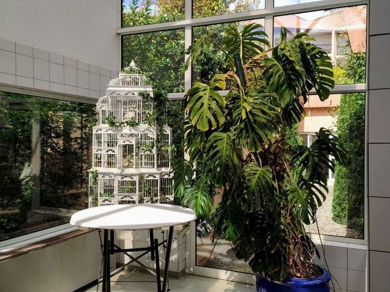 Tout l'espace des Thermes est clair, aéré et fleuri