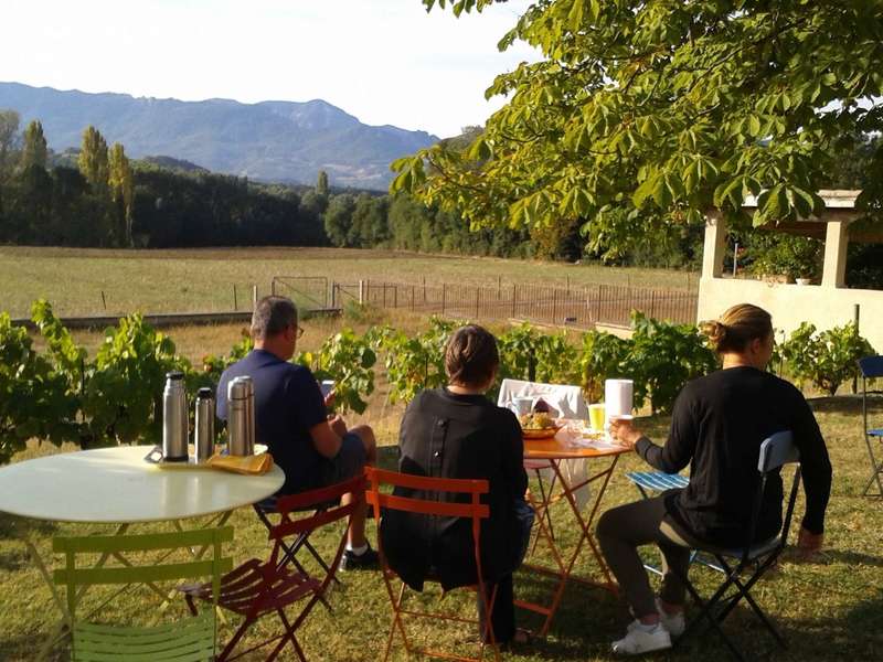 Petit déjeuner au soleil ...
