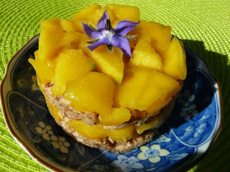 Biscru moelleux à la mangue, l'Instant cru