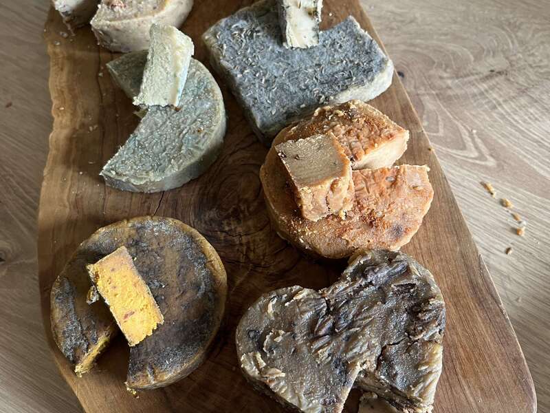 Fromages végétaux affinés