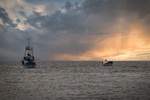 Licence de pêche européenne : rester actif pour conserver ses droits