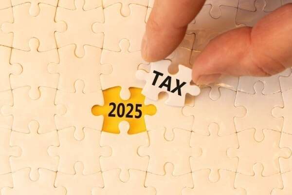 Régimes d’imposition des entreprises (bénéfices industriels et commerciaux, bénéfices non commerciaux et TVA) – année 2025