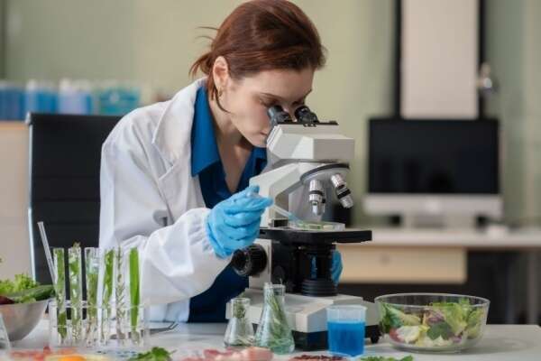 Indice du climat des affaires dans les activités spécialisées, scientifiques et techniques - 2026