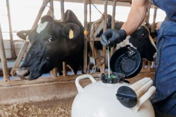 Insémination artificielle : harmonisation des démarches