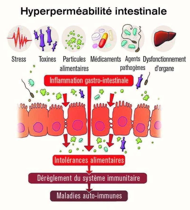Allergie et microbiote