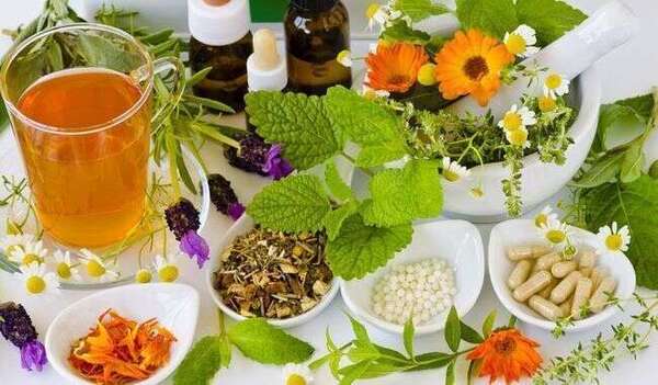 Été 2026 : Le guide holistique pour un corps léger et un esprit apaisé Détoxifier son corps : la naturopathie à la rescousse