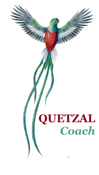 logo quetzal coach