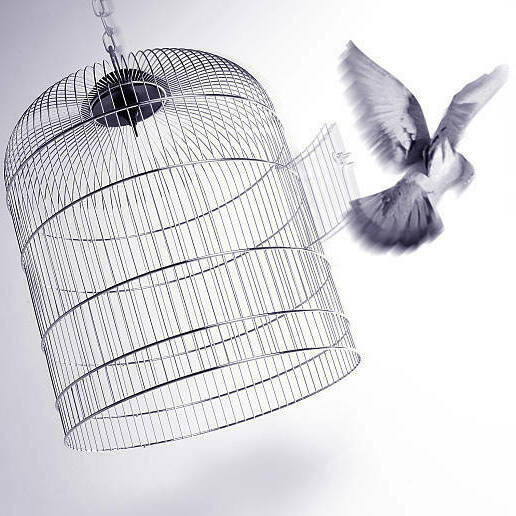 vos objectifs avec Quetzal coach à L'Hermenault