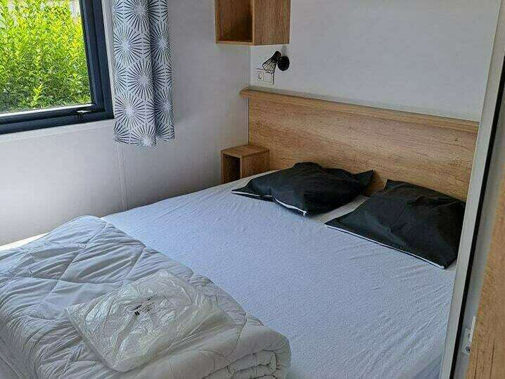 350255258_299049579367009_941705295412622680_n