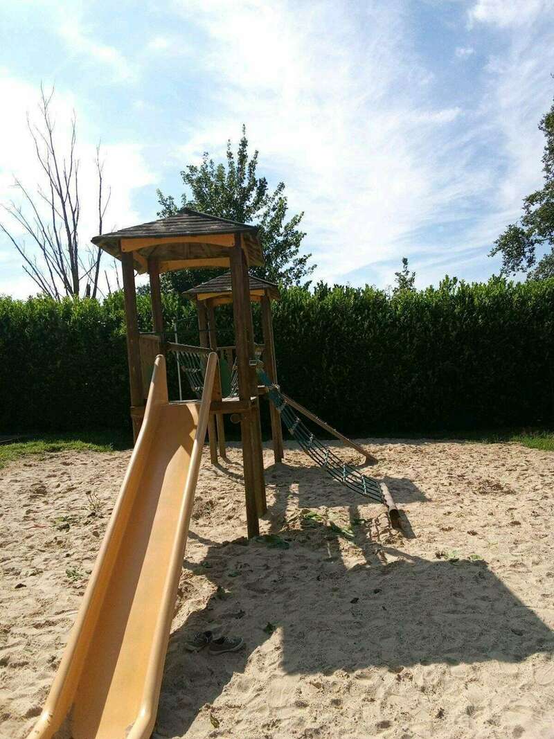 img_20250205_110153__1_