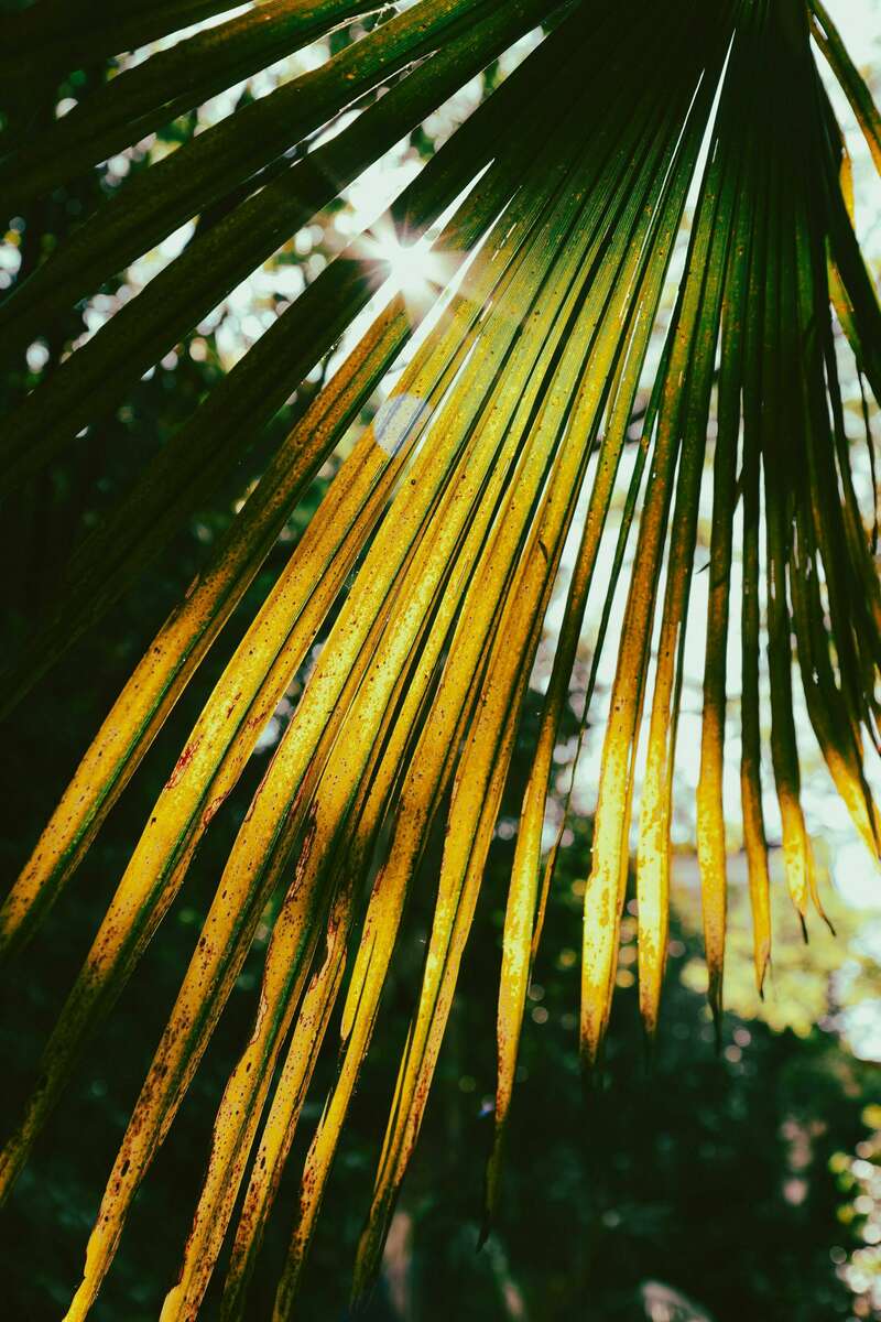 roman-petrov-nngohyikm1o-unsplash