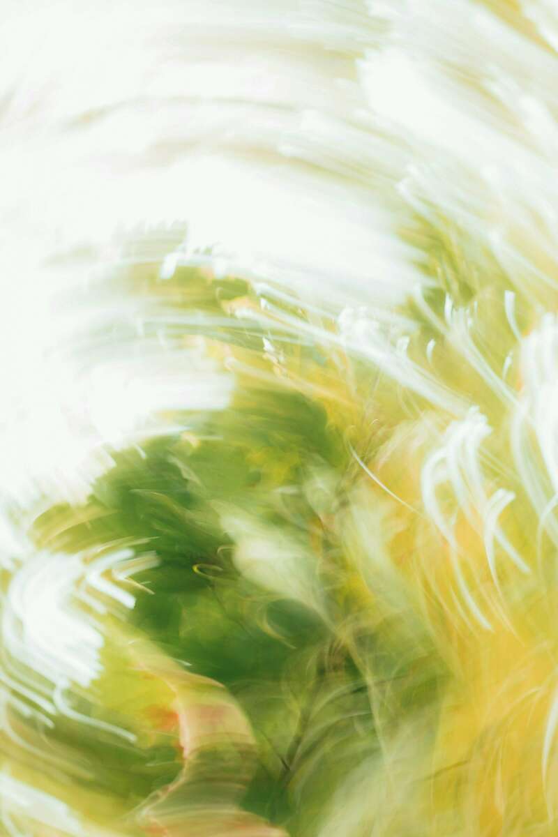 geronimo-giqueaux-lypqldhr7j4-unsplash