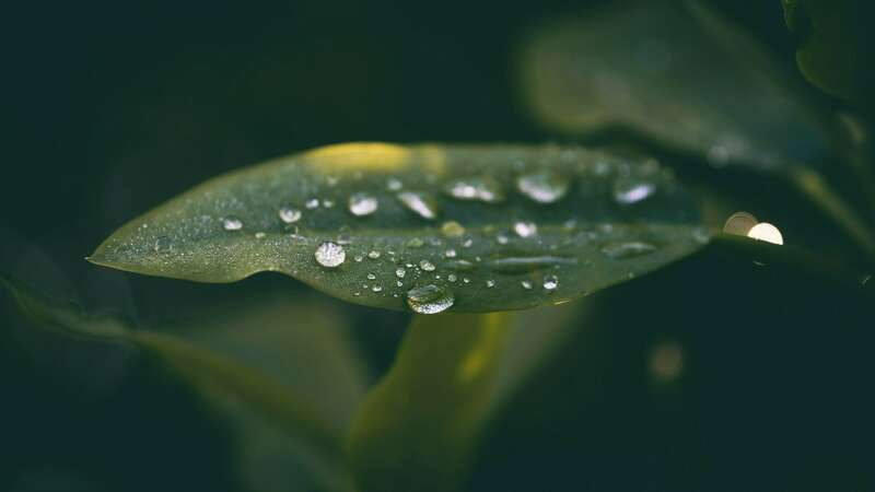 raed-kasrwani-l91l5w2eexo-unsplash