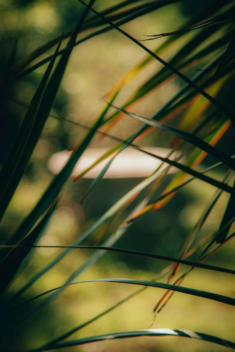 umar-farooq-bkdux10ivjq-unsplash