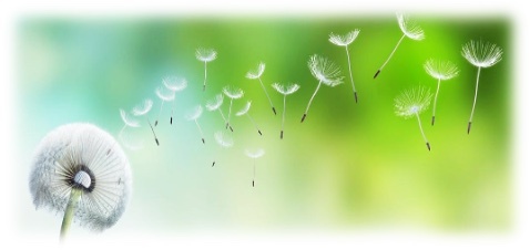 Logo Christine HAYER