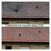 traitement anti-mousse