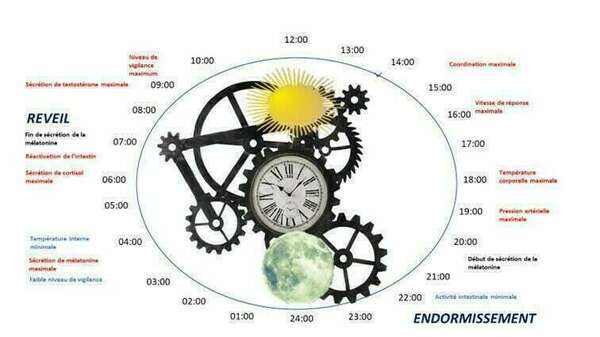 Normes d'hygiène de sommeil
