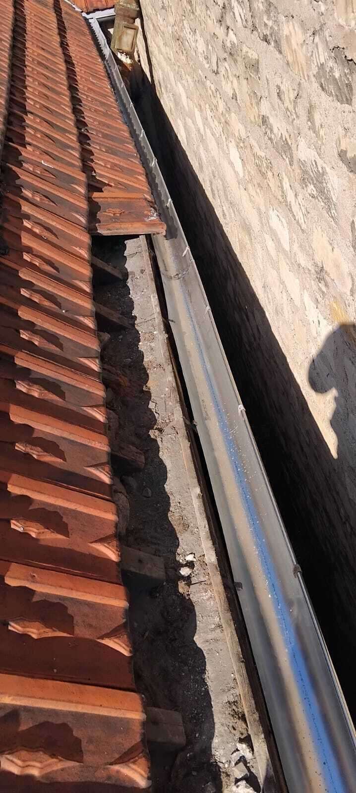 1000006613