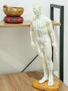 Le corps et le Shiatsu