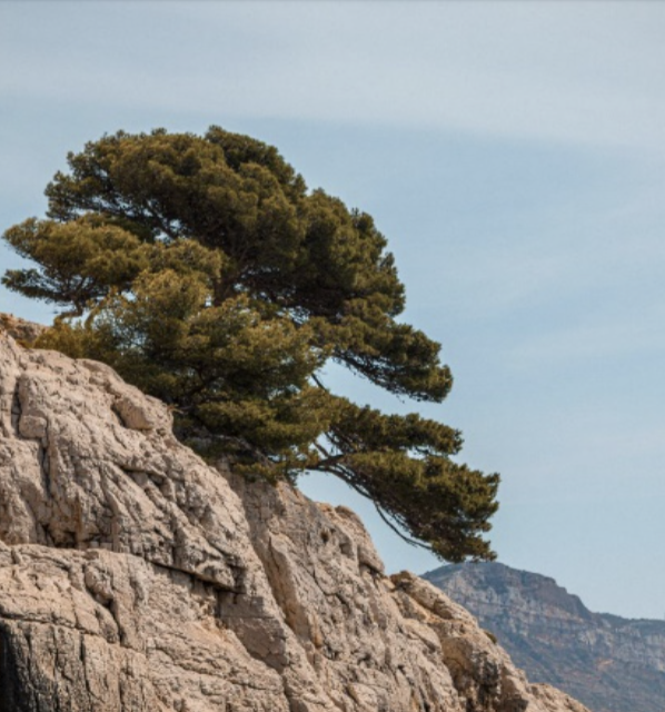 Ouverture d’un bureau secondaire à Marseille