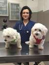 Portrait du Dr Aira Chaibi vétérinaire passionnée dédiée au bien-être des animaux de compagnie à Boulogne-Billancourt
