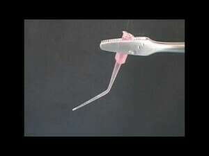 6- Blast et cisaillement