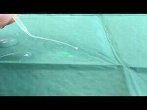 Endoagitator vs Er 15 Hz