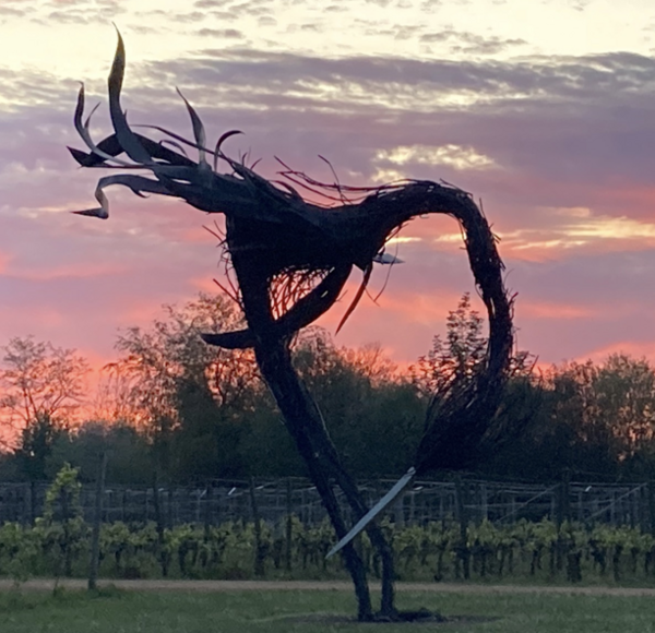 L’été pointe enfin le bout de son nez !
