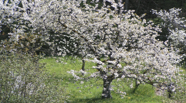 Quand le Yoga nous permet d’activer notre lumière et nos énergies internes