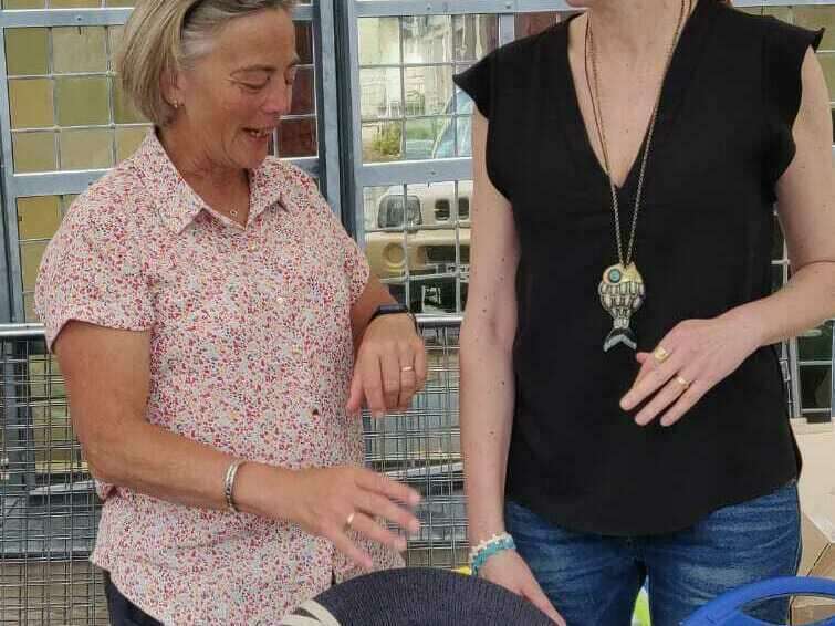 cc6074c5-6445-4a54-ac83-fd25876f1f78