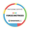 sylvie stannaga praticienne certifiee disc forces motrices