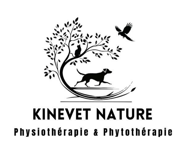 KinéVet Nature