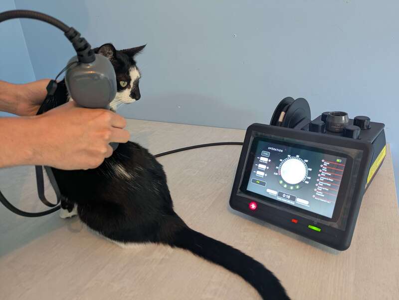 pxl_20250706_163459262__1_20251103-3576204-whpspz