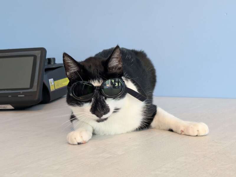 pxl_20250707_15482050320251103-3603235-dsoivg