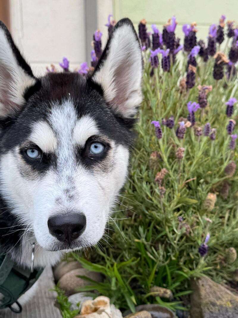 whatsapp_image_2025-08-20_at_17-44-1020251103-3608355-hdpbef