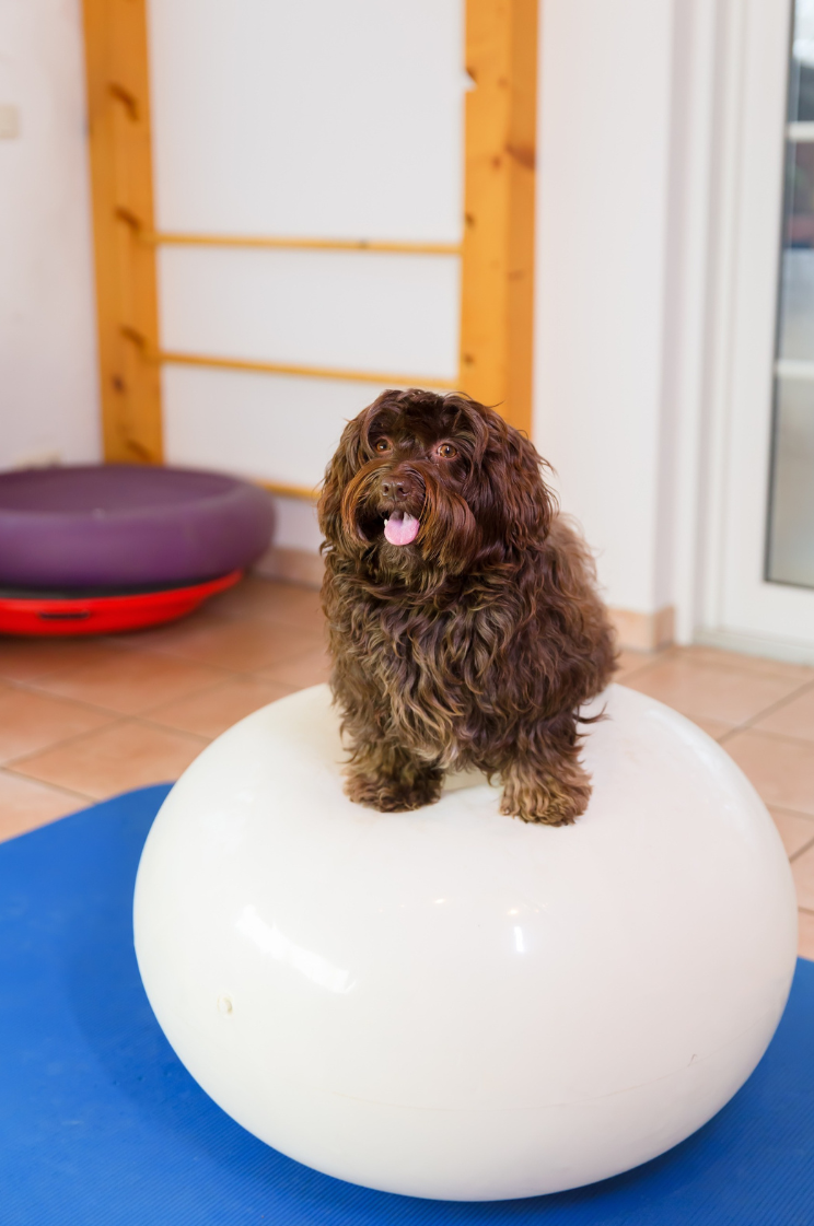 ball20251103-3608355-nz2r3l