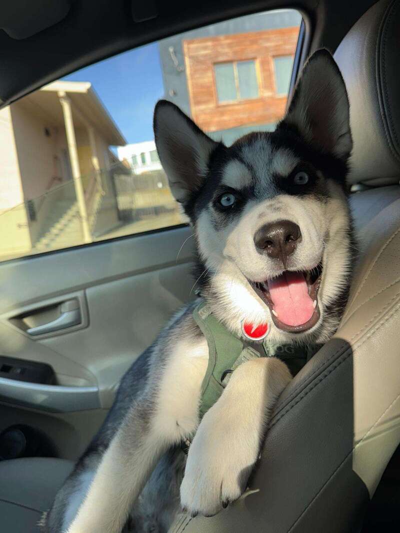 whatsapp_image_2025-08-20_at_17-45-0920251103-3589390-tmv6lq